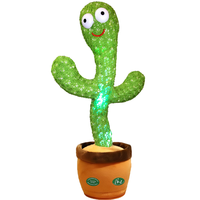 CACTUS BAILARÍN